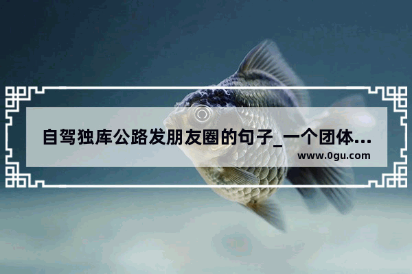自驾独库公路发朋友圈的句子_一个团体一起拼尽全力的励志句子