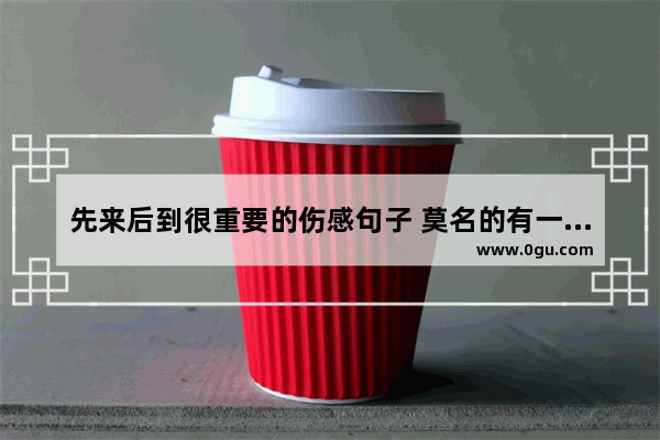 先来后到很重要的伤感句子 莫名的有一些伤感的句子