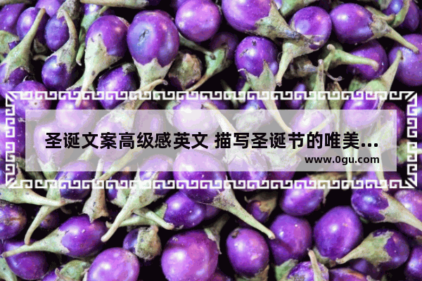 圣诞文案高级感英文 描写圣诞节的唯美句子英文