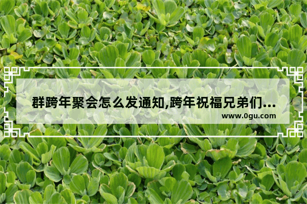群跨年聚会怎么发通知,跨年祝福兄弟们的句子简短