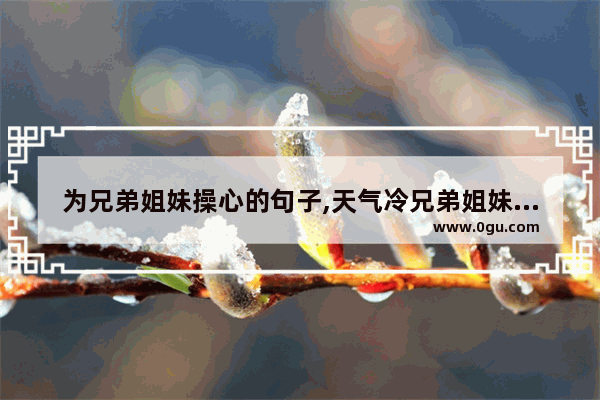 为兄弟姐妹操心的句子,天气冷兄弟姐妹暖心的句子