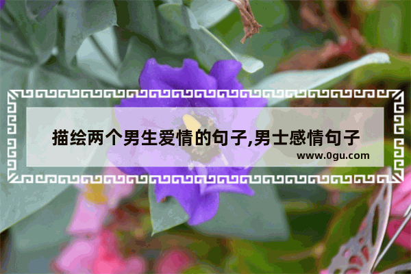 描绘两个男生爱情的句子,男士感情句子