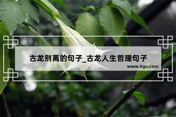 古龙别离的句子_古龙人生哲理句子