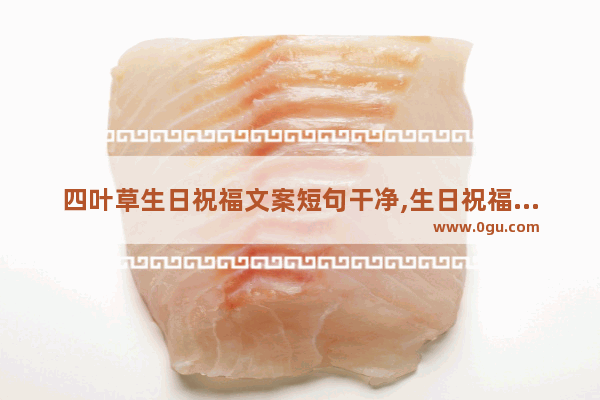 四叶草生日祝福文案短句干净,生日祝福语财富爆棚的句子