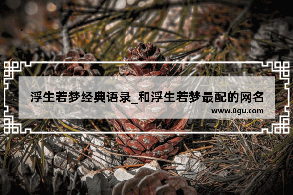 浮生若梦经典语录_和浮生若梦最配的网名