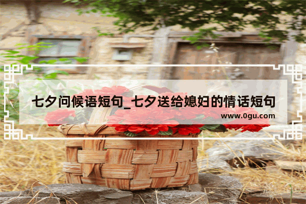 七夕问候语短句_七夕送给媳妇的情话短句