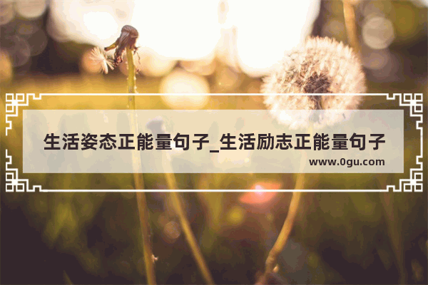 生活姿态正能量句子_生活励志正能量句子