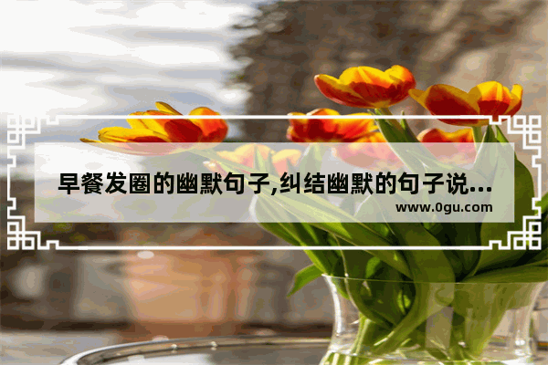 早餐发圈的幽默句子,纠结幽默的句子说说心情