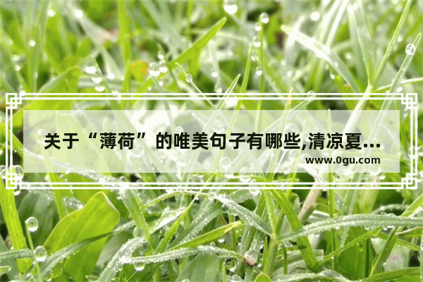 关于“薄荷”的唯美句子有哪些,清凉夏日唯美句子