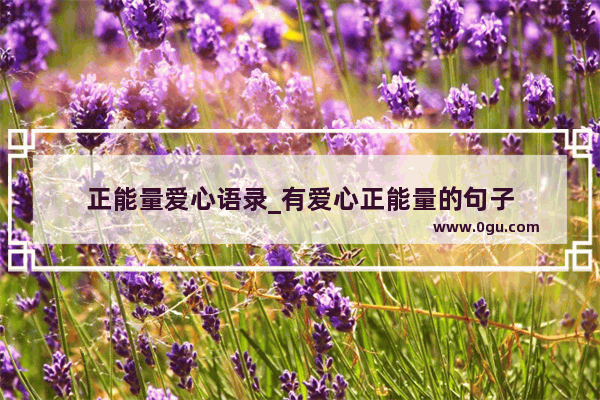 正能量爱心语录_有爱心正能量的句子