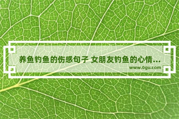 养鱼钓鱼的伤感句子 女朋友钓鱼的心情句子