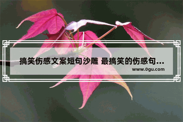搞笑伤感文案短句沙雕 最搞笑的伤感句子发朋友圈