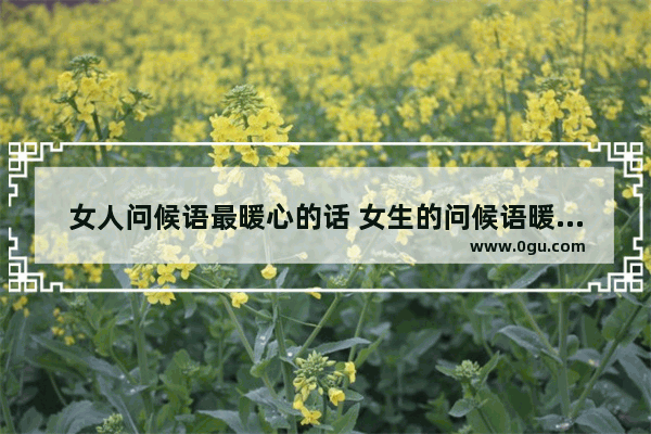 女人问候语最暖心的话 女生的问候语暖心的句子