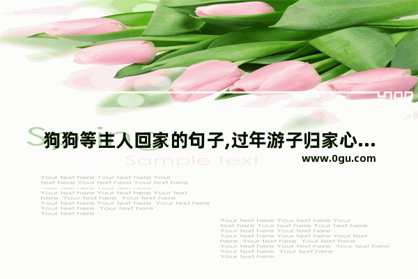 狗狗等主人回家的句子,过年游子归家心情的句子