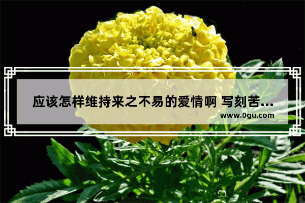 应该怎样维持来之不易的爱情啊 写刻苦铭心的爱情句子