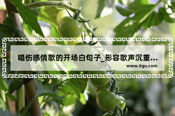唱伤感情歌的开场白句子_形容歌声沉重滋味的句子