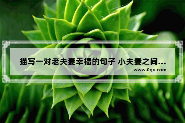 描写一对老夫妻幸福的句子 小夫妻之间幸福生活的句子