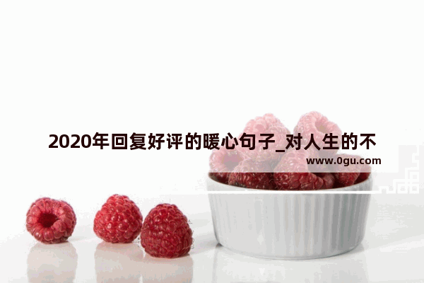 2020年回复好评的暖心句子_对人生的不同的评价句子
