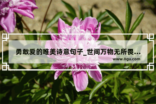 勇敢爱的唯美诗意句子_世间万物无所畏惧唯美句子