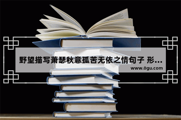 野望描写萧瑟秋意孤苦无依之情句子 形容心情平淡的景物句子