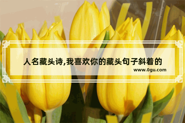 人名藏头诗,我喜欢你的藏头句子斜着的