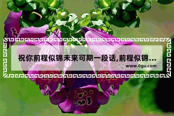 祝你前程似锦未来可期一段话,前程似锦的祝福句子怎么写