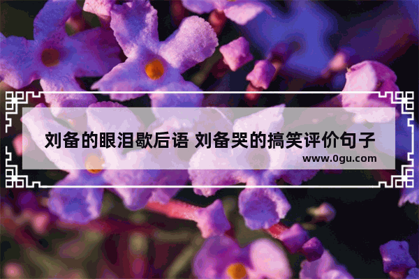 刘备的眼泪歇后语 刘备哭的搞笑评价句子