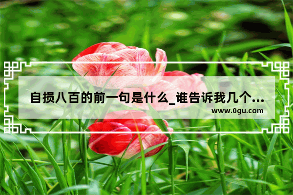 自损八百的前一句是什么_谁告诉我几个赞接力运动员的句子