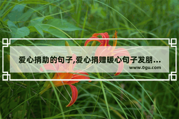 爱心捐助的句子,爱心捐赠暖心句子发朋友圈