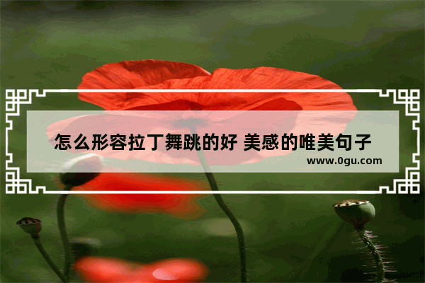 怎么形容拉丁舞跳的好 美感的唯美句子