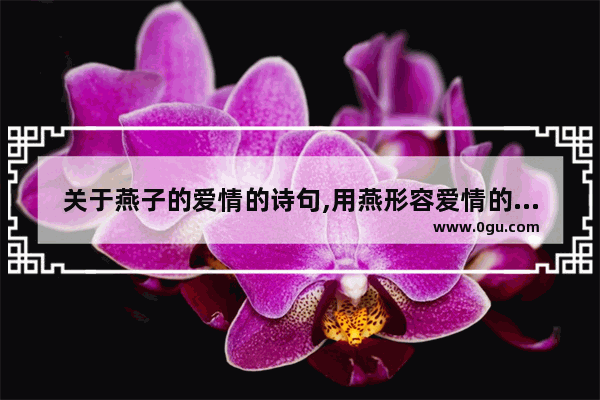 关于燕子的爱情的诗句,用燕形容爱情的句子