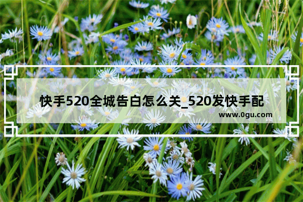 快手520全城告白怎么关_520发快手配啥歌