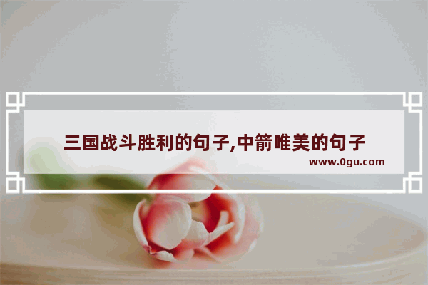 三国战斗胜利的句子,中箭唯美的句子