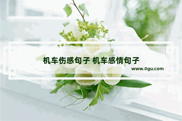 机车伤感句子 机车感情句子