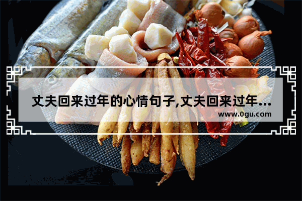 丈夫回来过年的心情句子,丈夫回来过年的心情句子