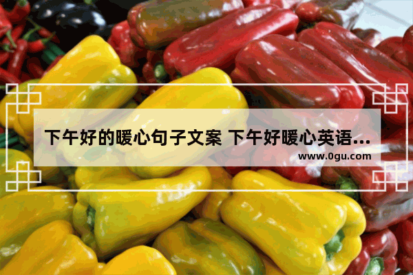 下午好的暖心句子文案 下午好暖心英语句子加翻译