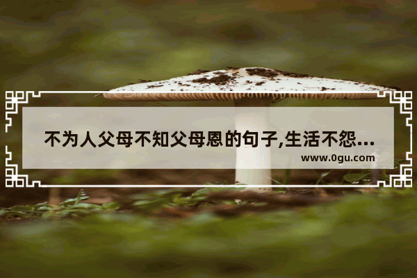 不为人父母不知父母恩的句子,生活不怨人的句子说说
