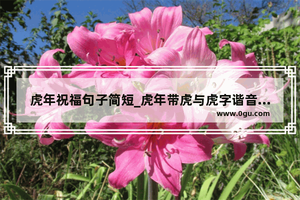 虎年祝福句子简短_虎年带虎与虎字谐音的祝福语