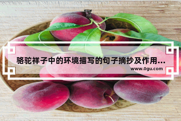 骆驼祥子中的环境描写的句子摘抄及作用_骆驼祥子十八章环境描写摘抄