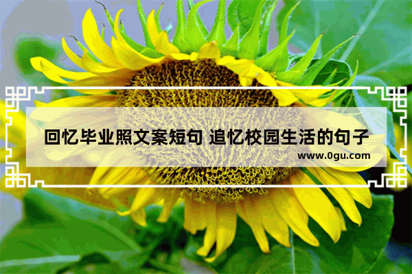 回忆毕业照文案短句 追忆校园生活的句子