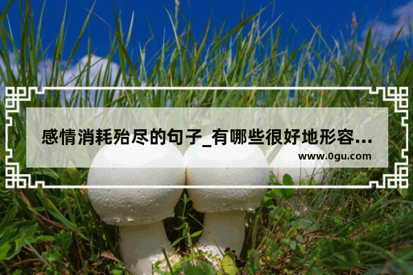 感情消耗殆尽的句子_有哪些很好地形容不爱了的诗词或句子