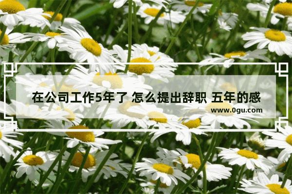 在公司工作5年了 怎么提出辞职 五年的感情有多深句子