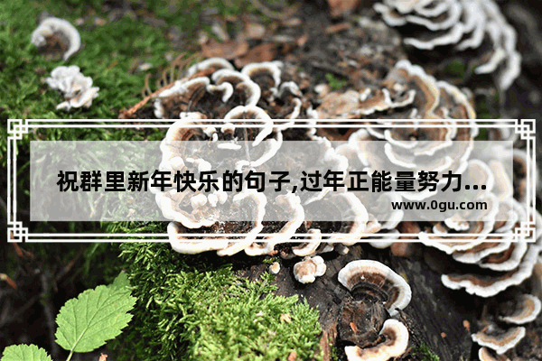祝群里新年快乐的句子,过年正能量努力的短句子