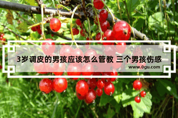 3岁调皮的男孩应该怎么管教 三个男孩伤感句子发朋友圈
