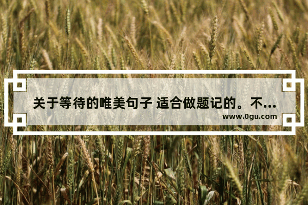 关于等待的唯美句子 适合做题记的。不要爱情,感情等待句子