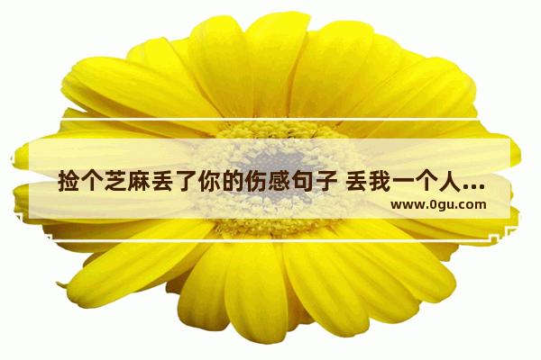 捡个芝麻丢了你的伤感句子 丢我一个人伤感句子