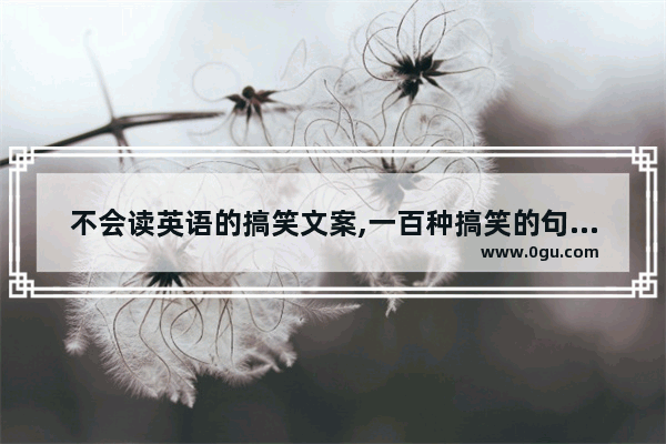 不会读英语的搞笑文案,一百种搞笑的句子英文