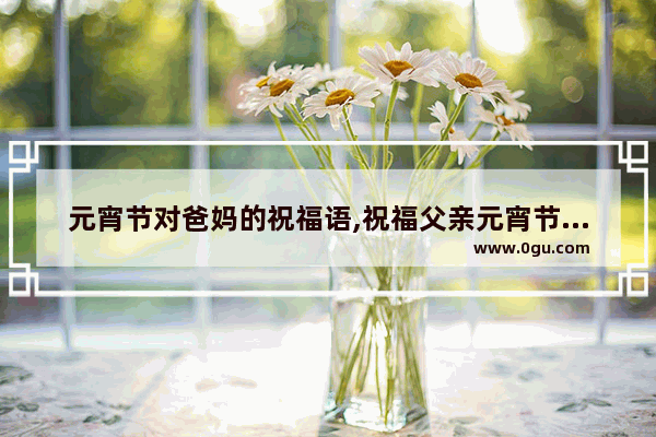 元宵节对爸妈的祝福语,祝福父亲元宵节快乐的句子
