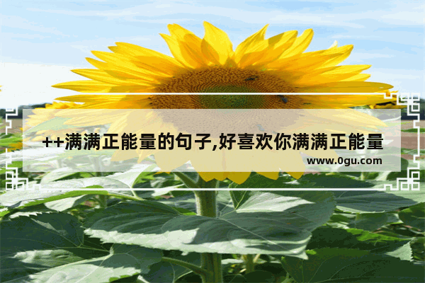 ++满满正能量的句子,好喜欢你满满正能量的句子