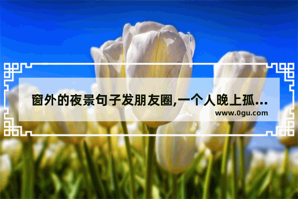 窗外的夜景句子发朋友圈,一个人晚上孤单的伤感句子